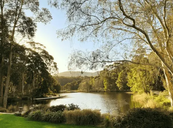 ballarat things to do and see