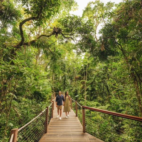 best east coast tour from Sydney to Cairns