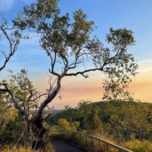 best litchfield national park tours