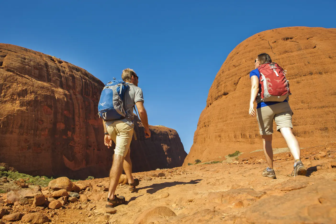 best things to do at uluru