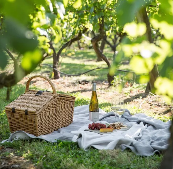best things to do hunter valley