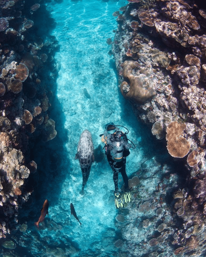 best things to do in airlie beach