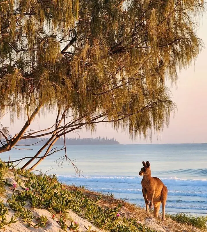 best things to do in queensland