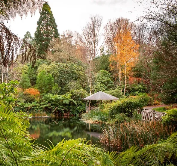 best things to do in victoria