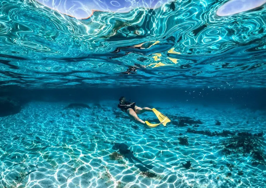 best things to do on rottnest island