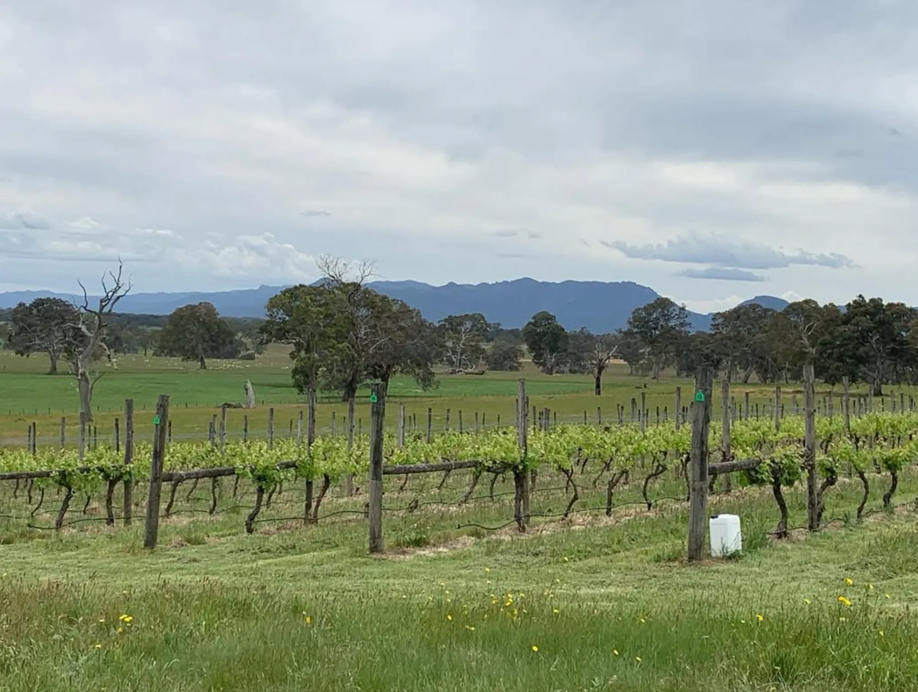 best time to visit Cavendish