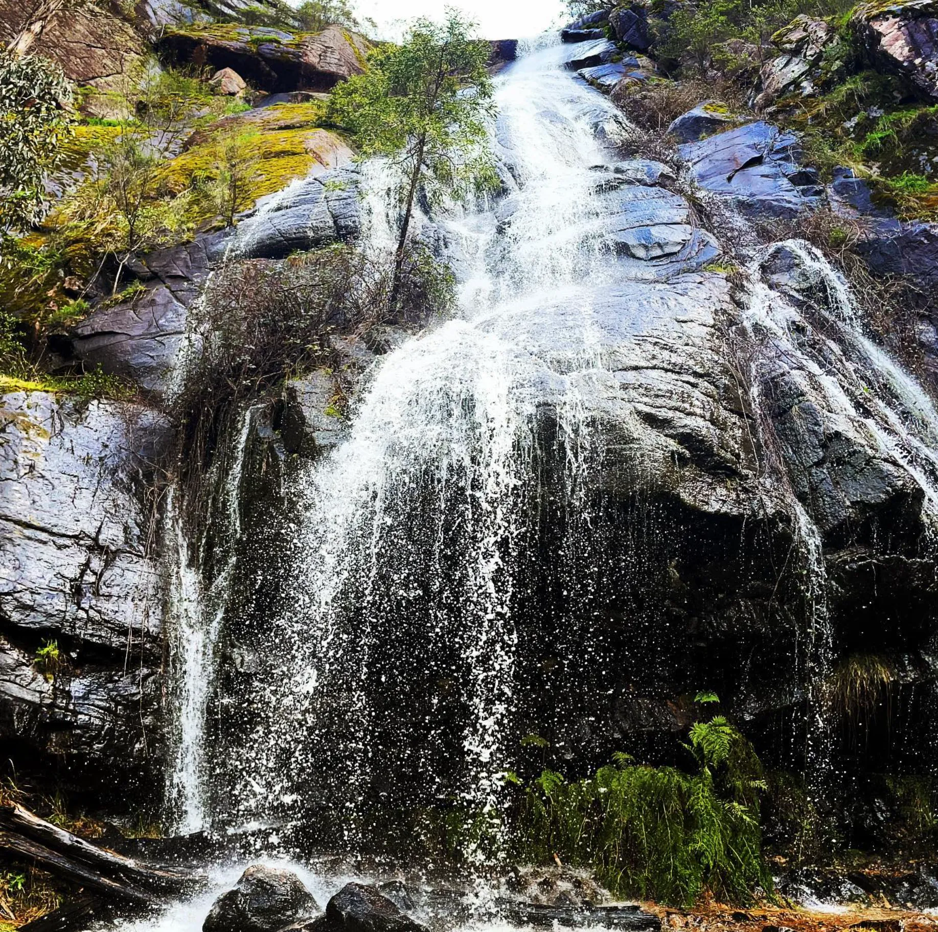 best time to visit Clematis Falls