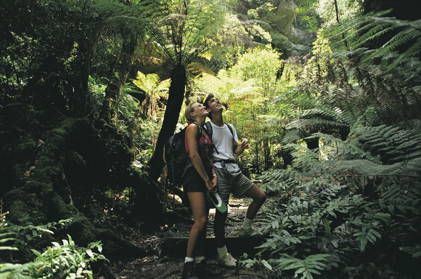 best blue mountain tours