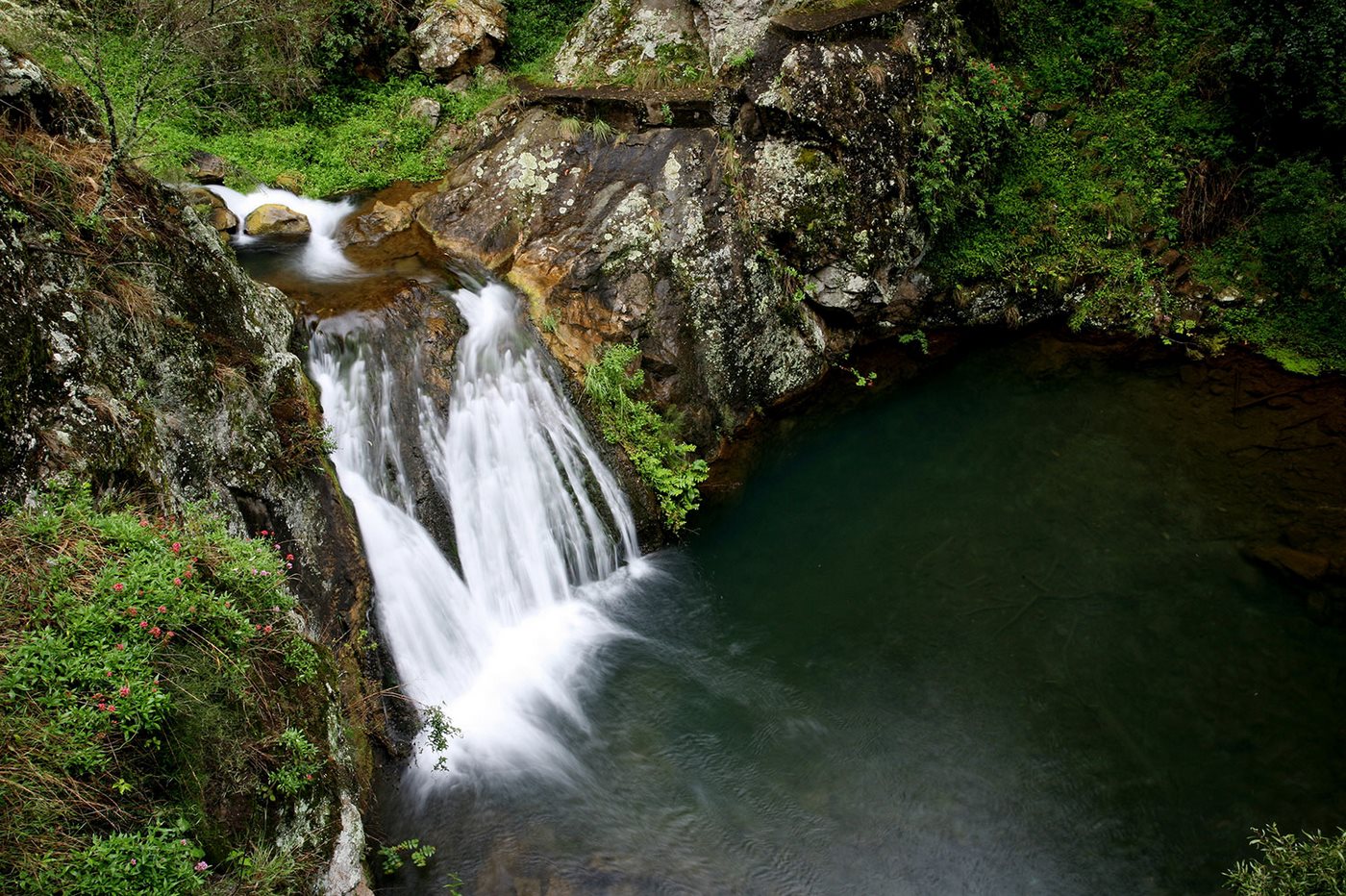 blue mountain tours from sydney