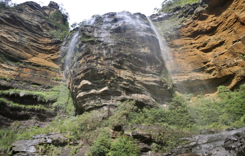 blue mountain package tour