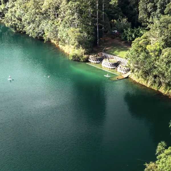 brisbane departure 7 day reef tour