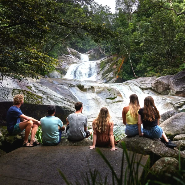 brisbane to daintree comfort style tour