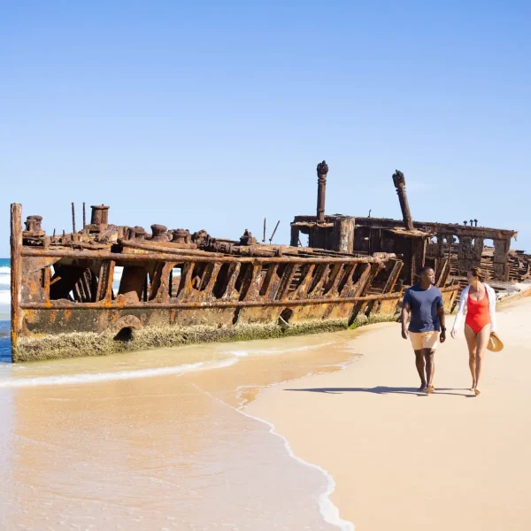 can you travel to sydney from brisbane