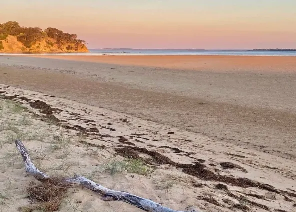 cool things to do in victoria
