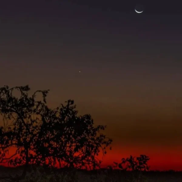 darwin day trips to kakadu