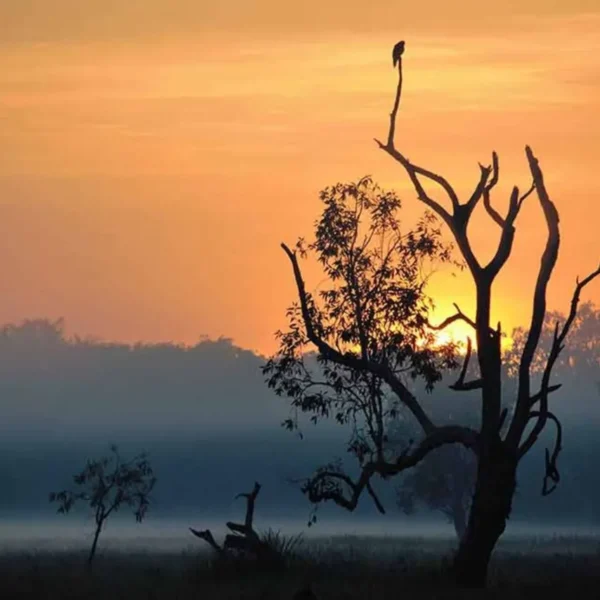 day tours kakadu from darwin