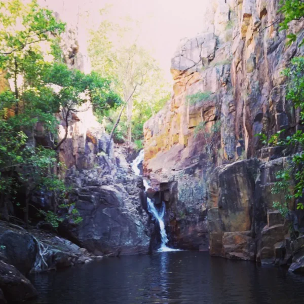 day trip to kakadu
