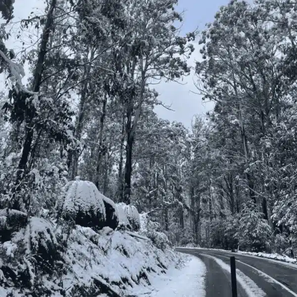 day trip to the snow from melbourne