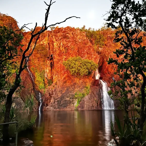 day trips to litchfield national park from darwin