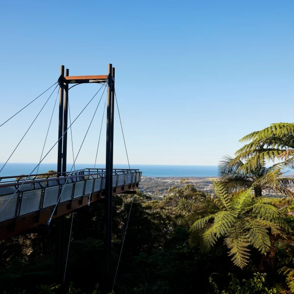 east coast australia tour