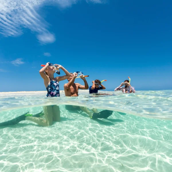 eco rainforest & reef 9 day adventure