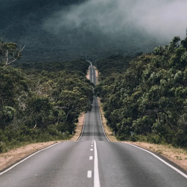 2 day great ocean road trips