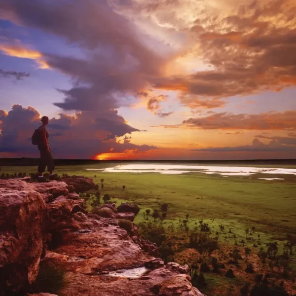 2 day kakadu tours from darwin