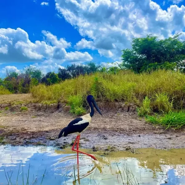 2 day kakadu tours