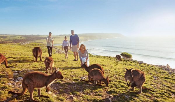 2 day kangaroo island-tour from adelaide