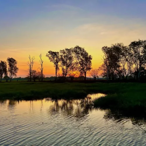 2-hr Yellow Water Billabong cruise