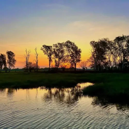 2-hr Yellow Water Billabong cruise