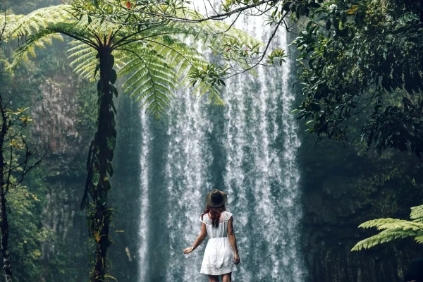 3 day cairns rainforest breakout