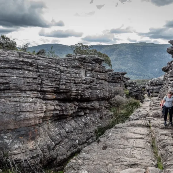 3 day great ocean road tours