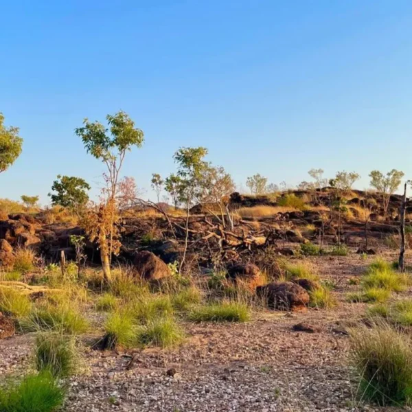 5 day kakadu national park and arnhem land tour