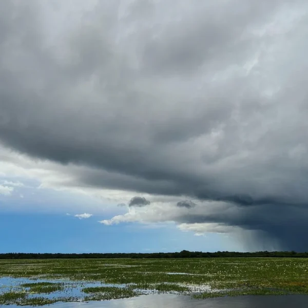 5 day kakadu tours from darwin