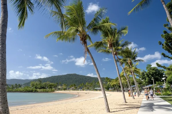 7 day brisbane to cairns tour