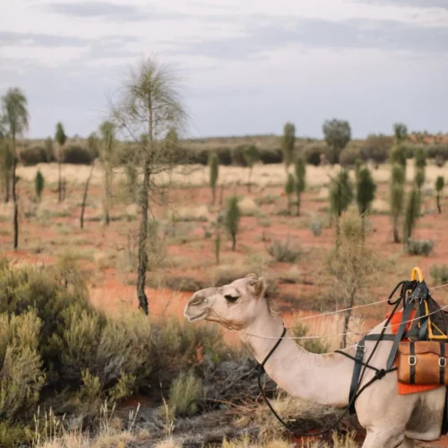 Australian landmarks