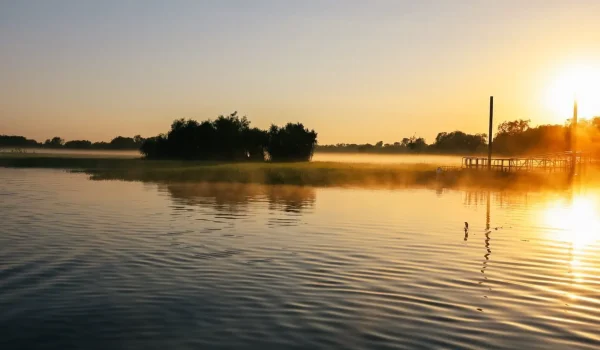 Boat cruises in exploring the park