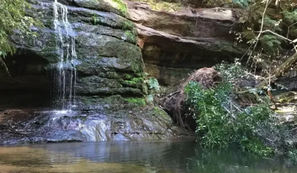 Top Five Historic and Impressive Bushwalk Trails in the Blue Mountains