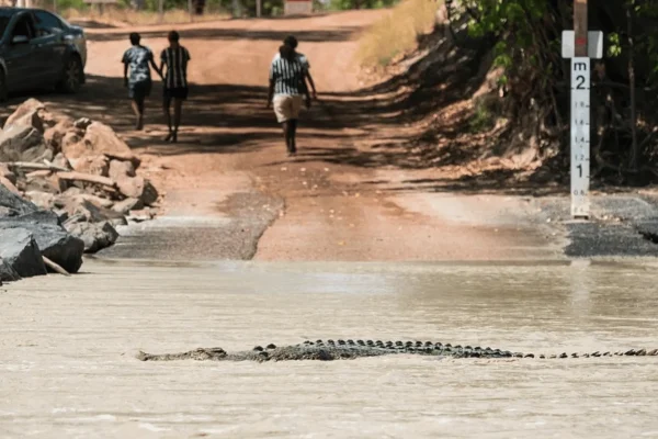 Cahills Crossing