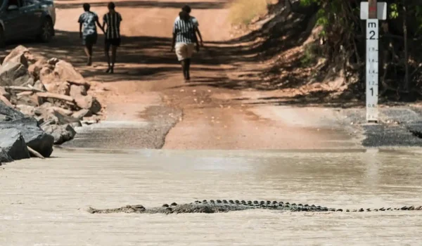 Cahills Crossing