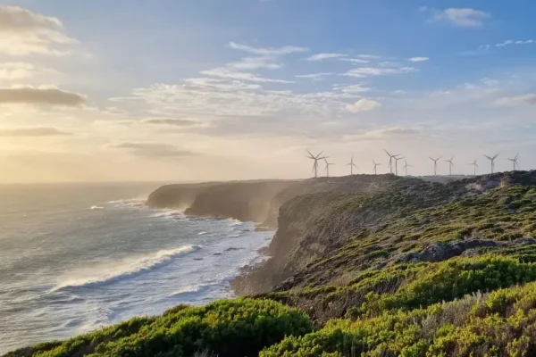 Cape Bridgewater
