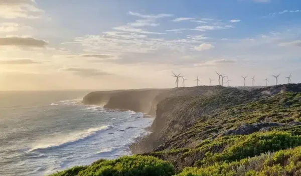Cape Bridgewater