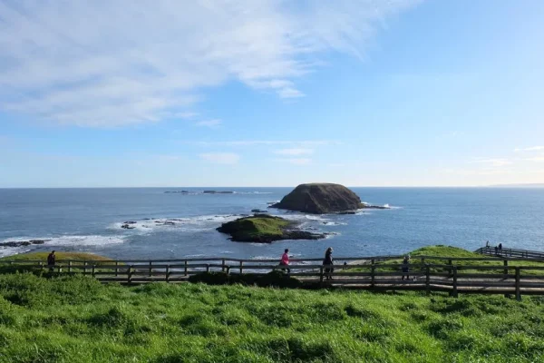 Cape Woolamai Beach