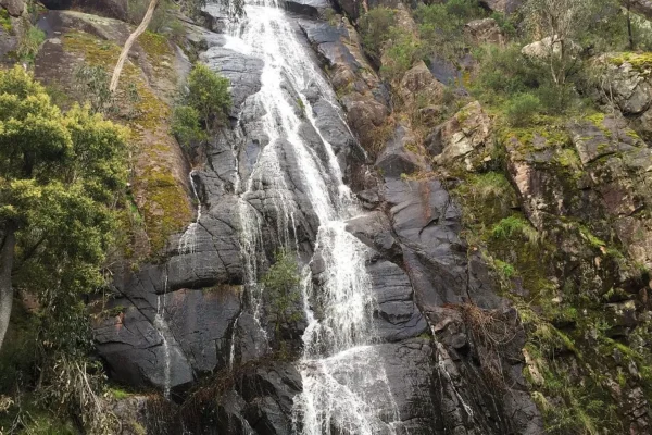Clematis Falls