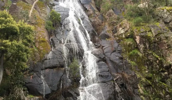 Clematis Falls