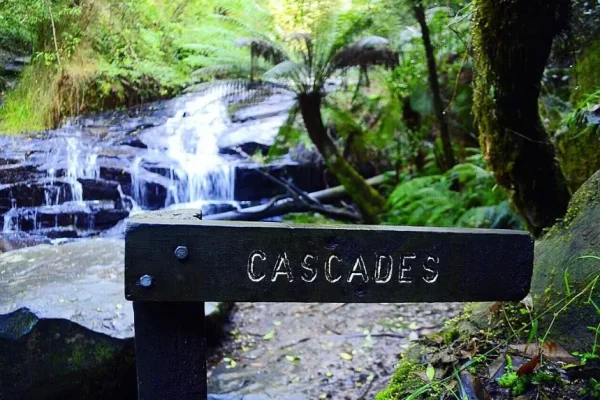 Cora Lynn Cascades Walk
