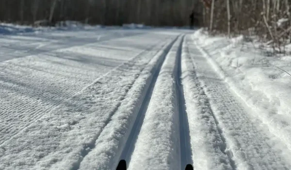 Cross Country Ski Lessons
