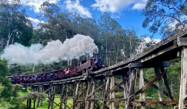 Explore the Puffing Billy Railway
