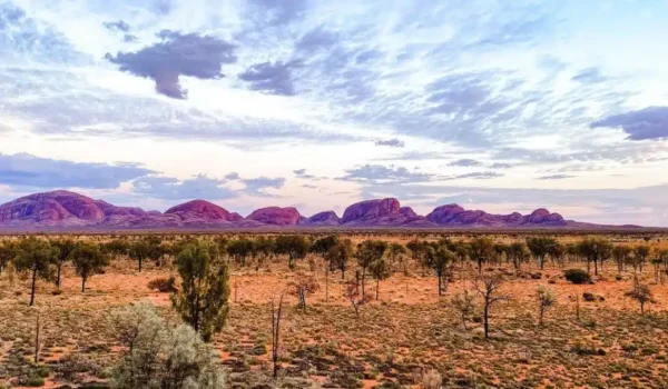 Exploring the Flora and Fauna Around Uluru